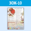 Плакат «Ключи к здоровому питанию» (ЗОЖ-10, пластик 2 мм, A1, 1 лист)